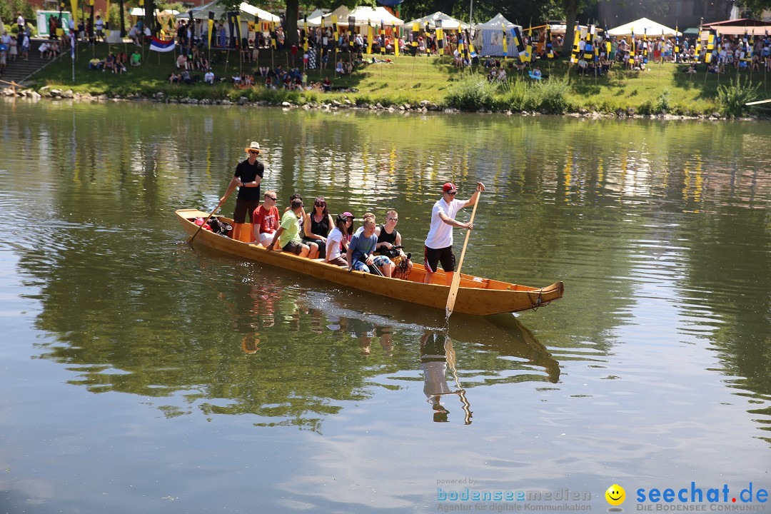 Internationales Donaufest: Ulm an der Donau, 06.07.2014