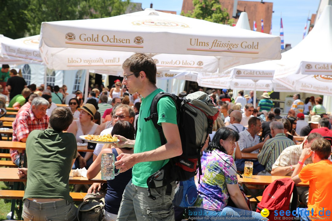 Internationales Donaufest: Ulm an der Donau, 06.07.2014