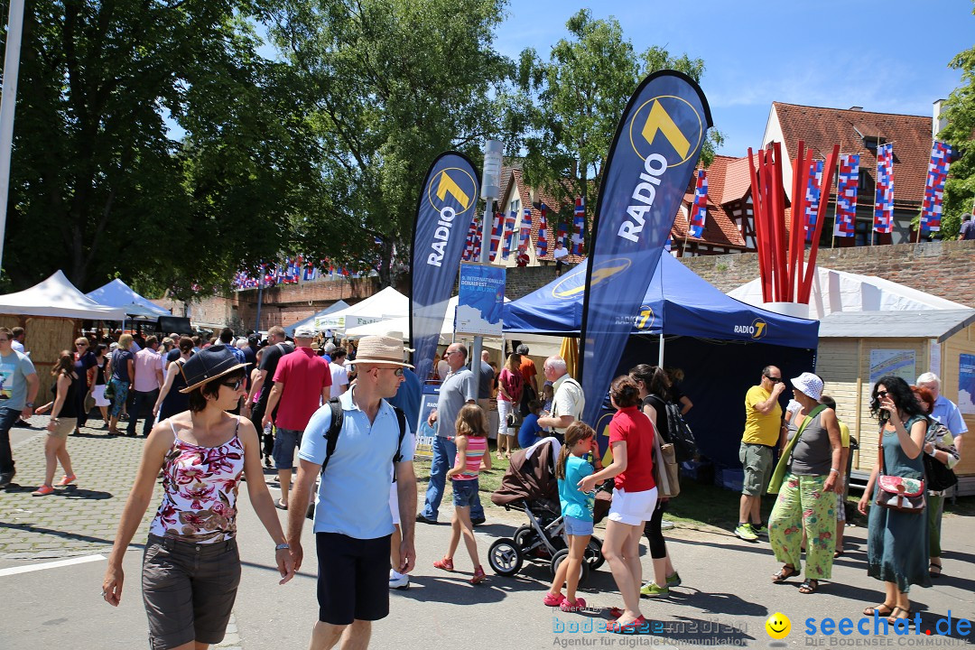 Internationales Donaufest: Ulm an der Donau, 06.07.2014