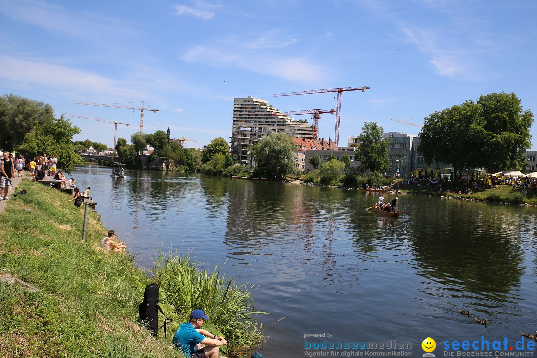 Internationales Donaufest: Ulm an der Donau, 06.07.2014