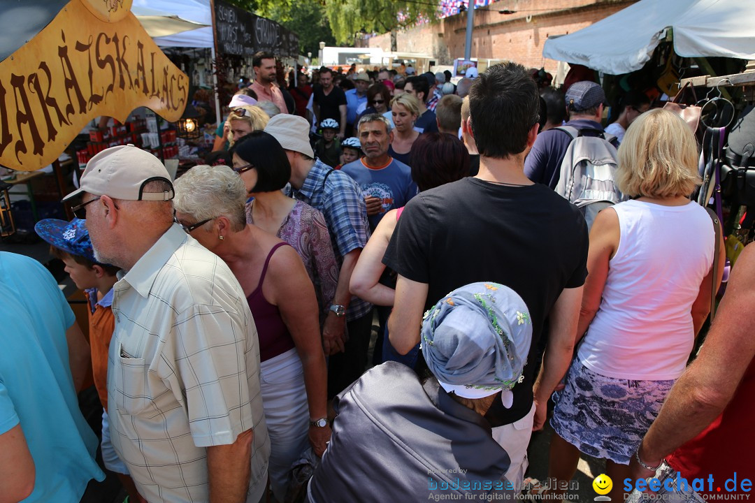 Internationales Donaufest: Ulm an der Donau, 06.07.2014