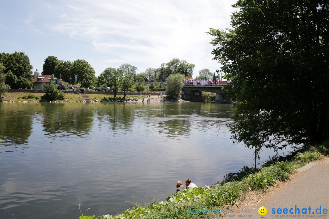 Internationales Donaufest: Ulm an der Donau, 06.07.2014