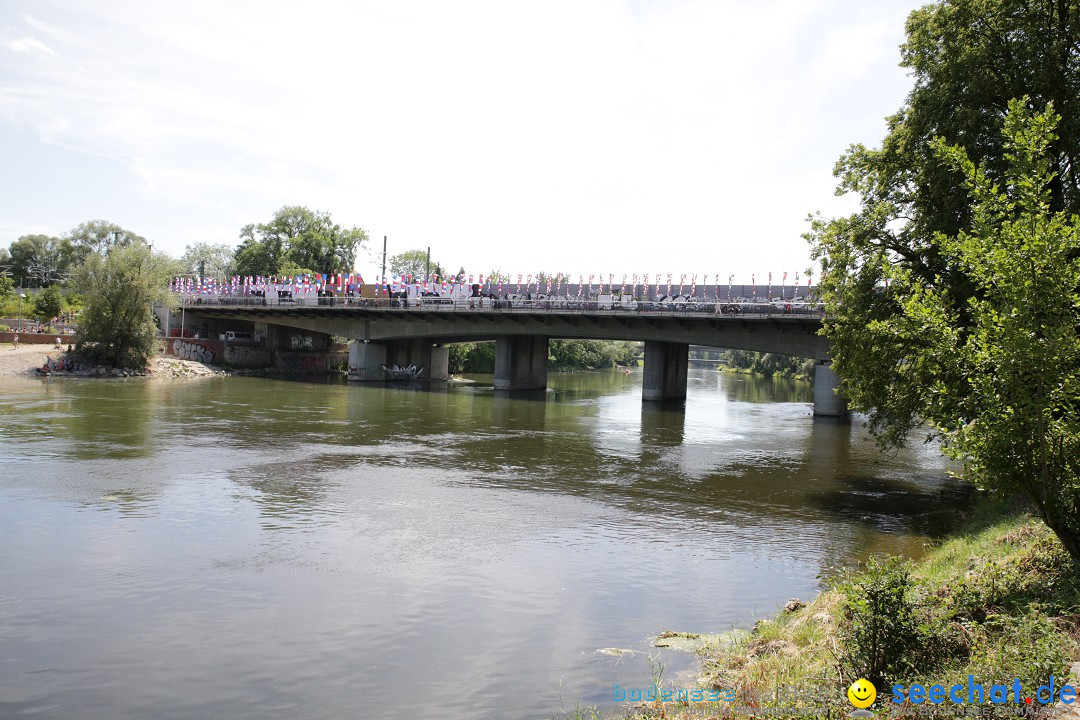 Internationales Donaufest: Ulm an der Donau, 06.07.2014