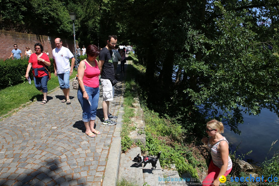 Internationales Donaufest: Ulm an der Donau, 06.07.2014