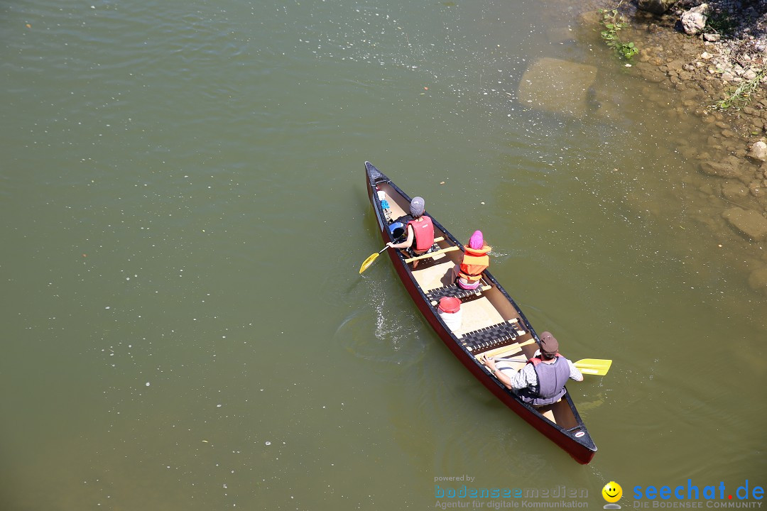 Internationales Donaufest: Ulm an der Donau, 06.07.2014