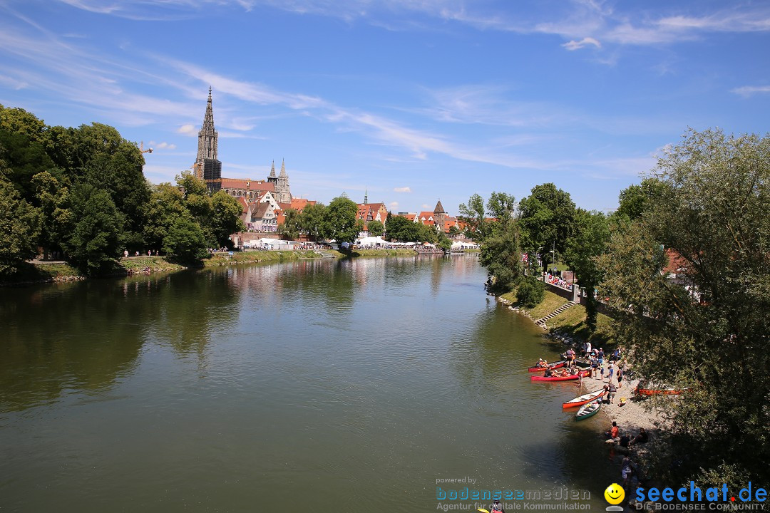 Internationales Donaufest: Ulm an der Donau, 06.07.2014