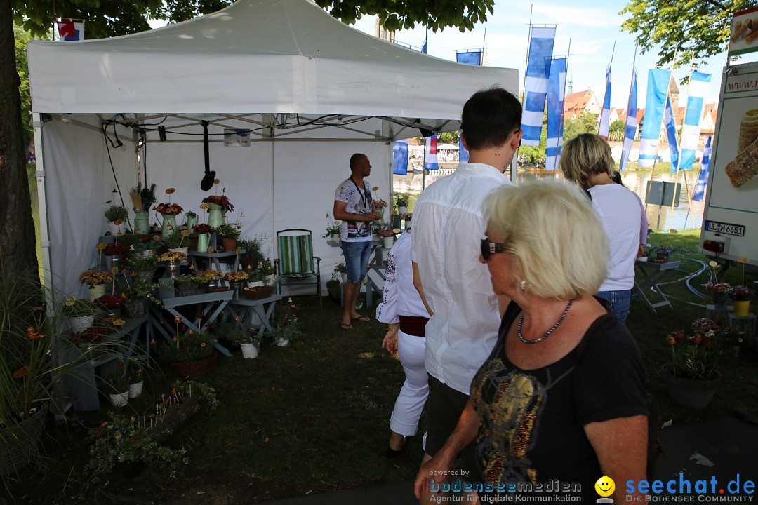 Internationales Donaufest: Ulm an der Donau, 06.07.2014