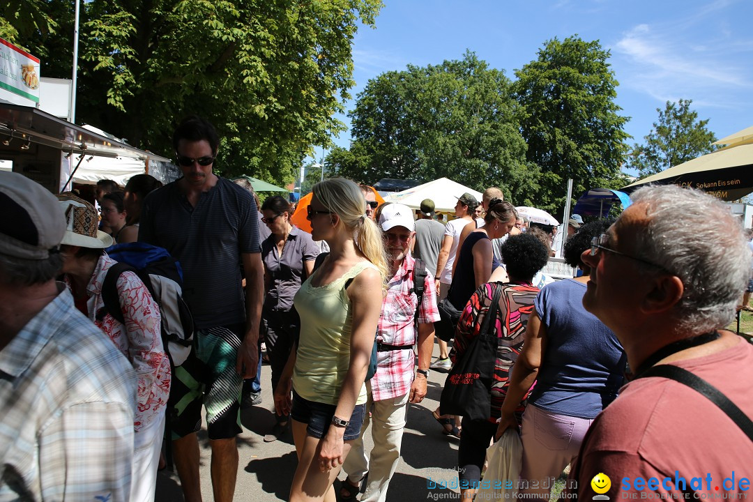 Internationales Donaufest: Ulm an der Donau, 06.07.2014