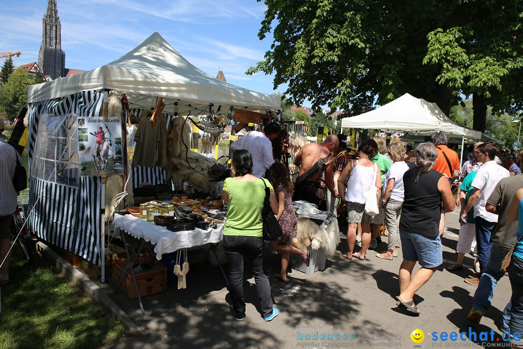 Internationales Donaufest: Ulm an der Donau, 06.07.2014