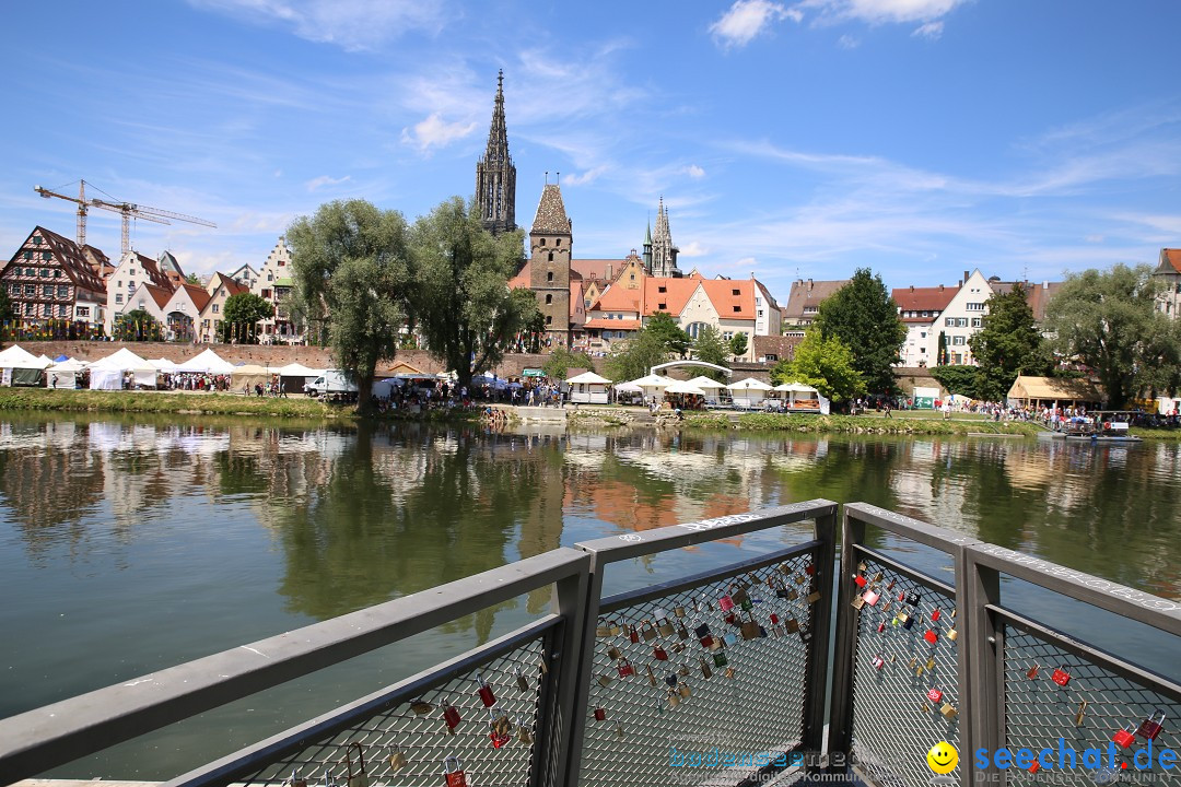 Internationales Donaufest: Ulm an der Donau, 06.07.2014