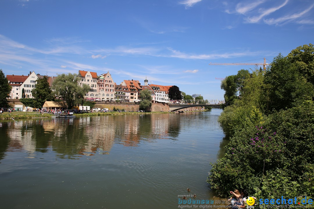 Internationales Donaufest: Ulm an der Donau, 06.07.2014