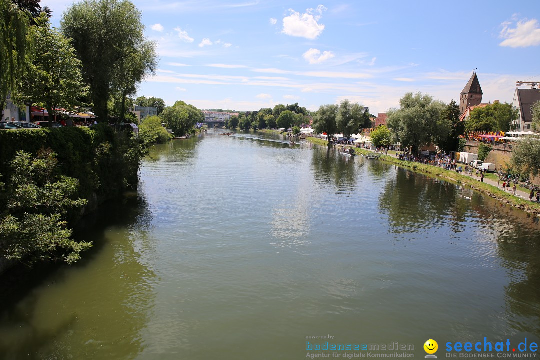 Internationales Donaufest: Ulm an der Donau, 06.07.2014