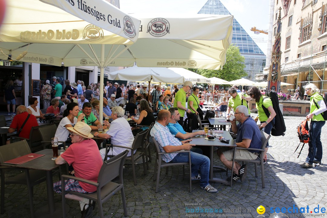 Internationales Donaufest: Ulm an der Donau, 06.07.2014