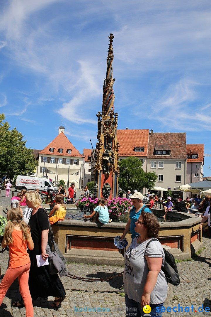 Internationales Donaufest: Ulm an der Donau, 06.07.2014