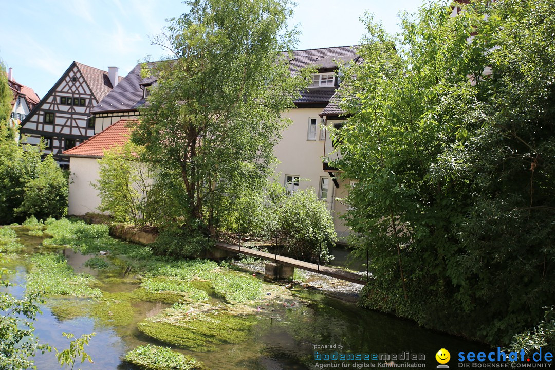 Internationales Donaufest: Ulm an der Donau, 06.07.2014