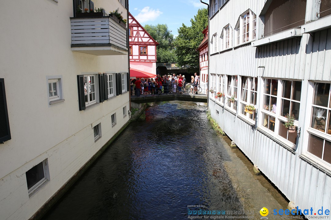 Internationales Donaufest: Ulm an der Donau, 06.07.2014