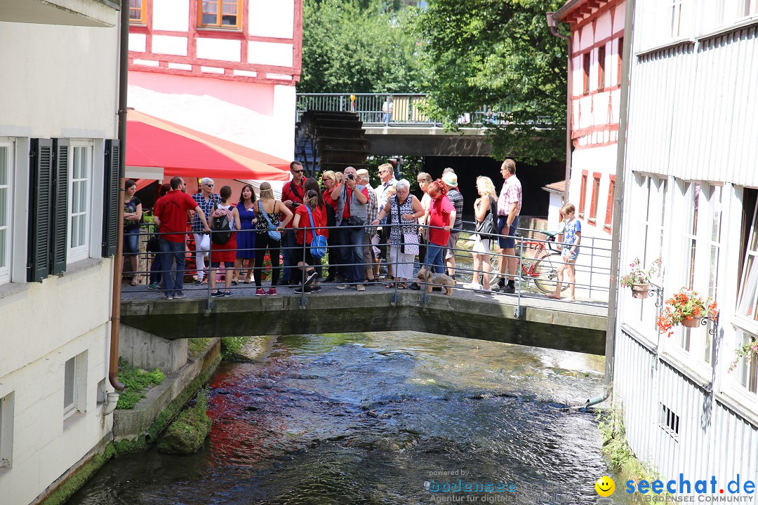 Internationales Donaufest: Ulm an der Donau, 06.07.2014