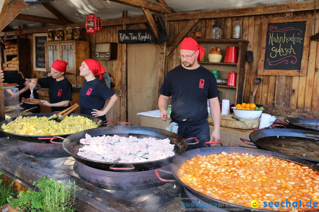 Internationales Donaufest: Ulm an der Donau, 06.07.2014