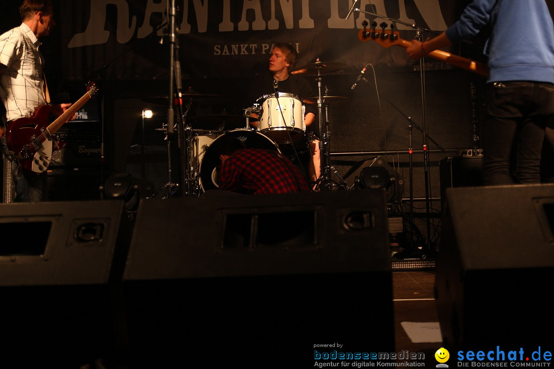 Rock im Vogelwald in Leimnau bei Tettang am Bodensee, 11.07.2014