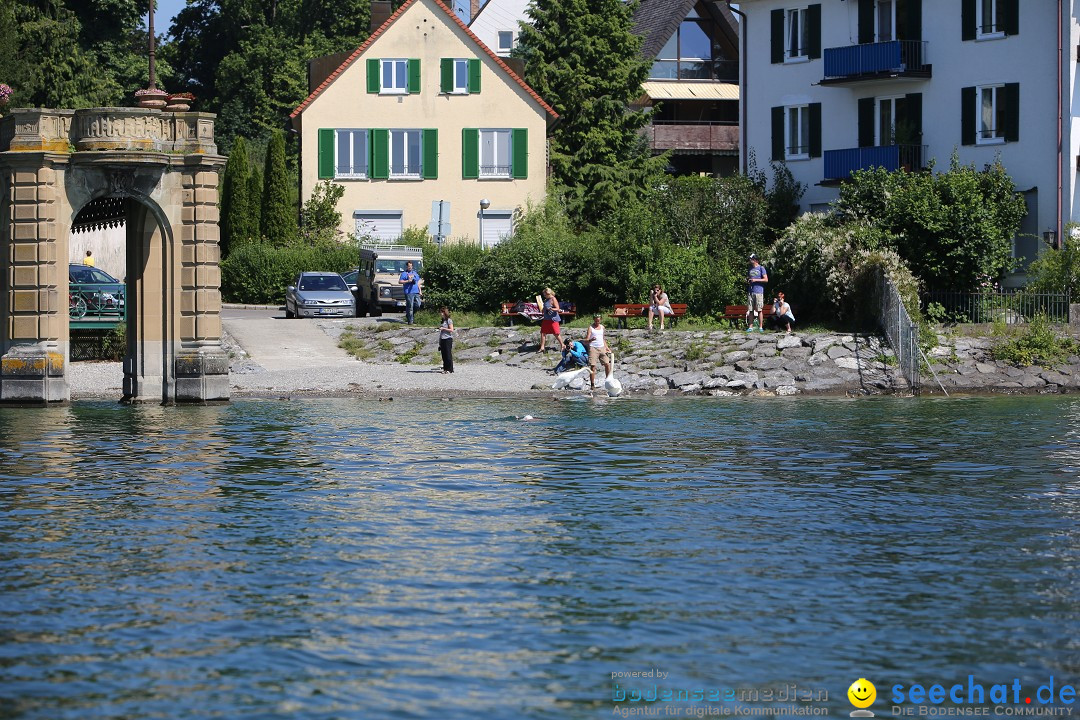 Wigald Boning durchquert den Bodensee: Friedrichshafen, 16.07.2014