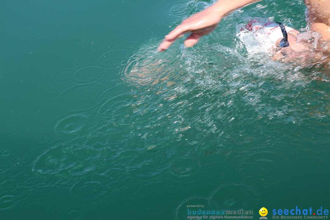 Bodenseequerung: Meik Kottwitz: Friedrichshafen am Bodensee, 17.07.2014