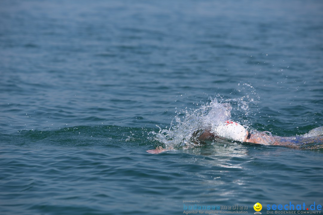 Bodenseequerung: Meik Kottwitz: Friedrichshafen am Bodensee, 17.07.2014