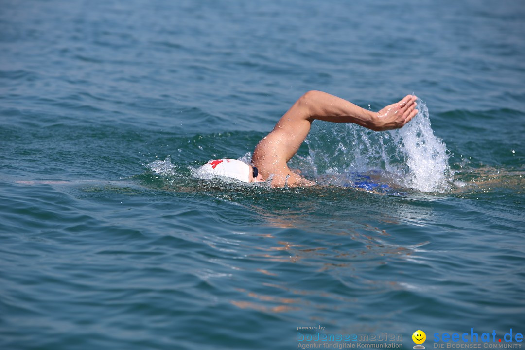 Bodenseequerung: Meik Kottwitz: Friedrichshafen am Bodensee, 17.07.2014