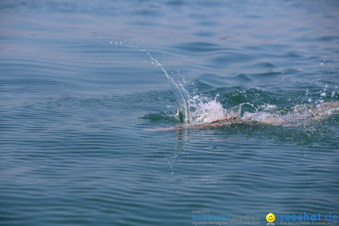 Bodenseequerung: Meik Kottwitz: Friedrichshafen am Bodensee, 17.07.2014