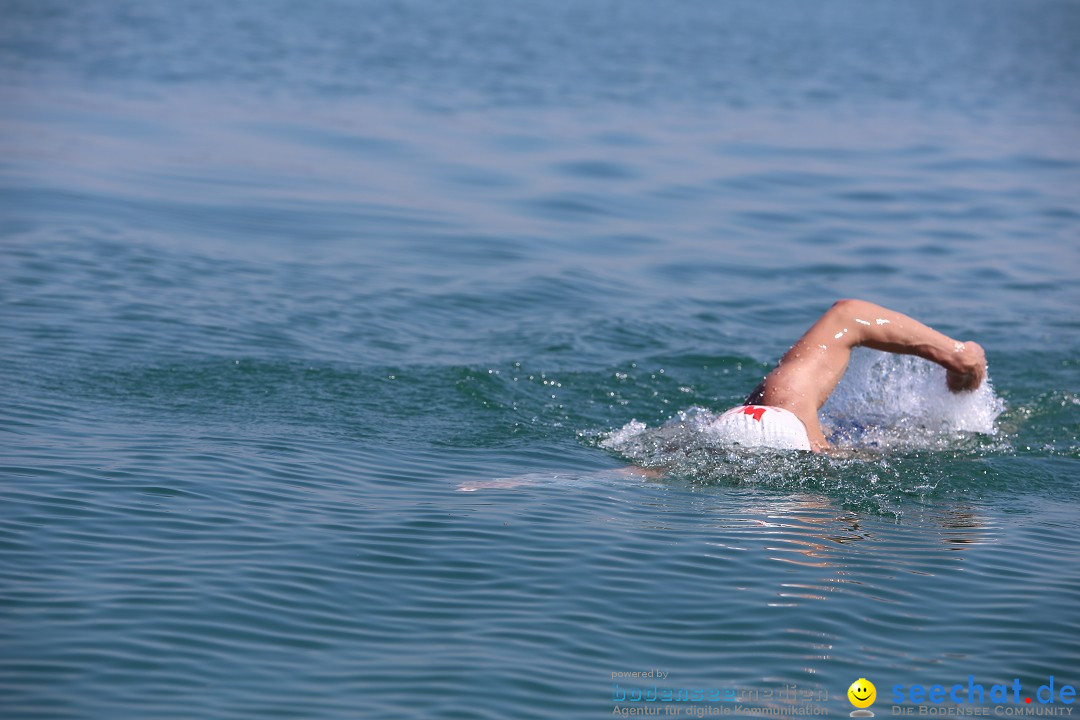 Bodenseequerung: Meik Kottwitz: Friedrichshafen am Bodensee, 17.07.2014