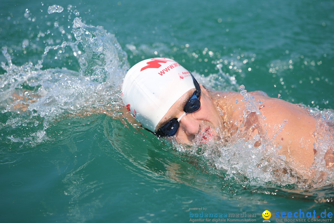 Bodenseequerung: Meik Kottwitz: Friedrichshafen am Bodensee, 17.07.2014