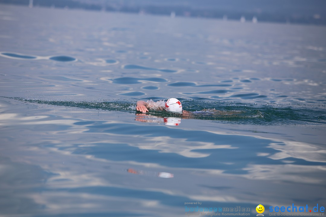 Bodenseequerung: Meik Kottwitz: Friedrichshafen am Bodensee, 17.07.2014