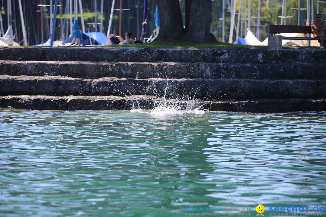 Bodenseequerung: Meik Kottwitz: Friedrichshafen am Bodensee, 17.07.2014