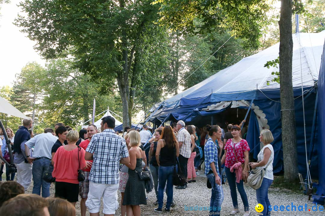 Honberg-Sommer - Revolverheld: Tuttlingen am Bodensee, 17.07.2014