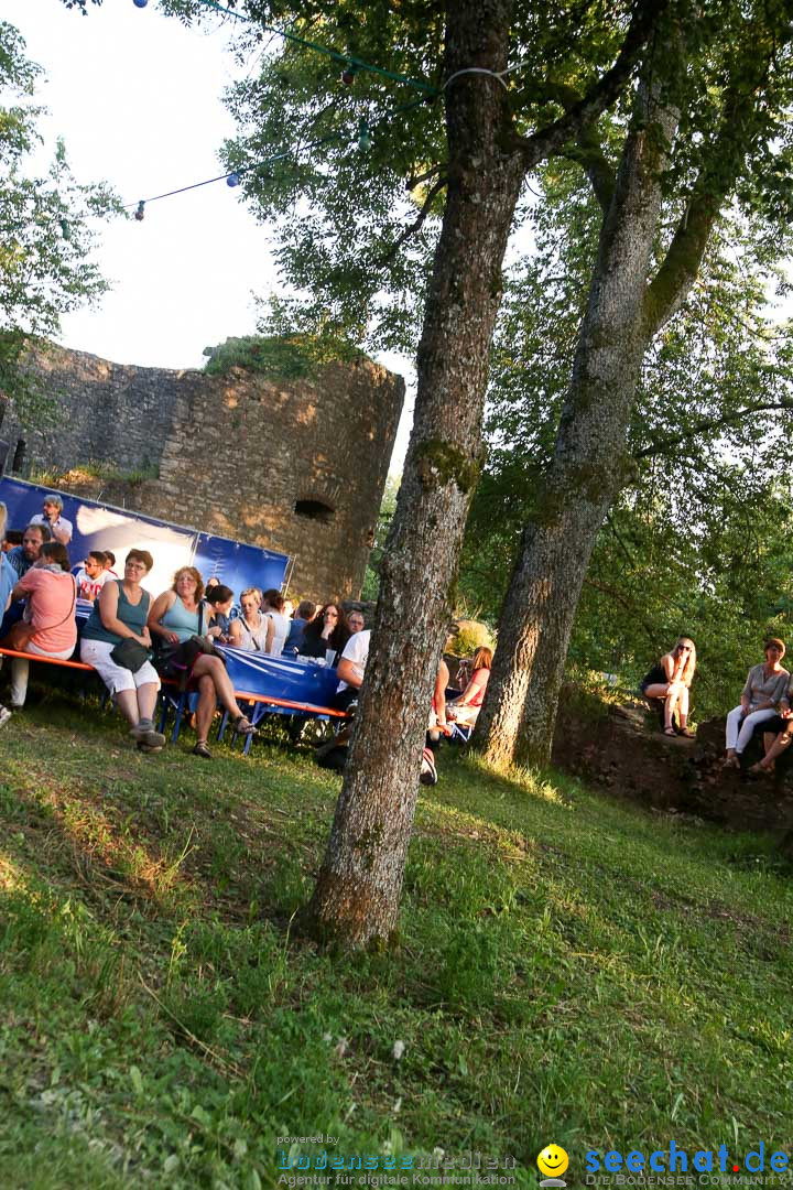 Honberg-Sommer - Revolverheld: Tuttlingen am Bodensee, 17.07.2014