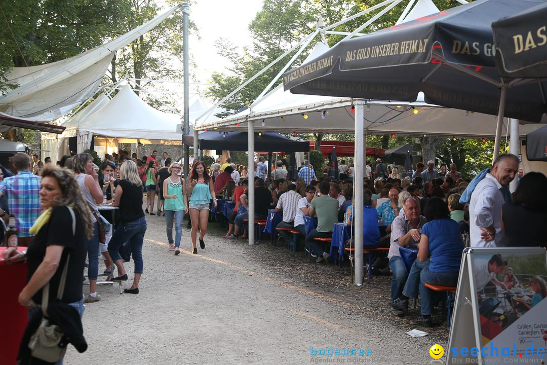 Honberg-Sommer - Revolverheld: Tuttlingen am Bodensee, 17.07.2014