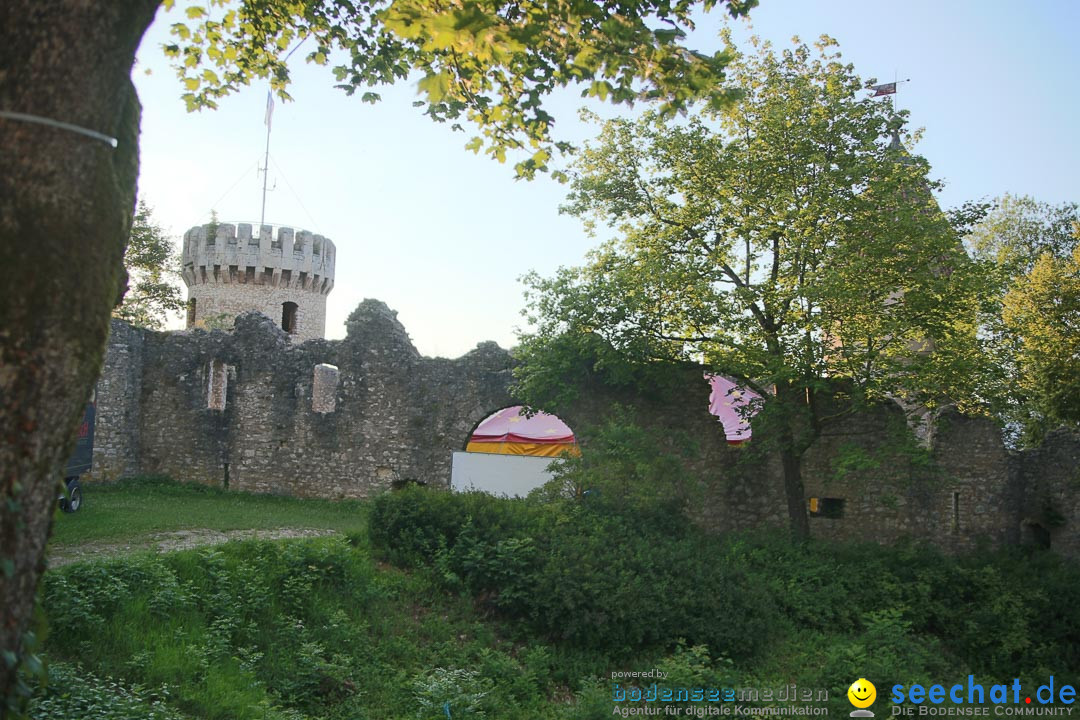 Honberg-Sommer - Revolverheld: Tuttlingen am Bodensee, 17.07.2014