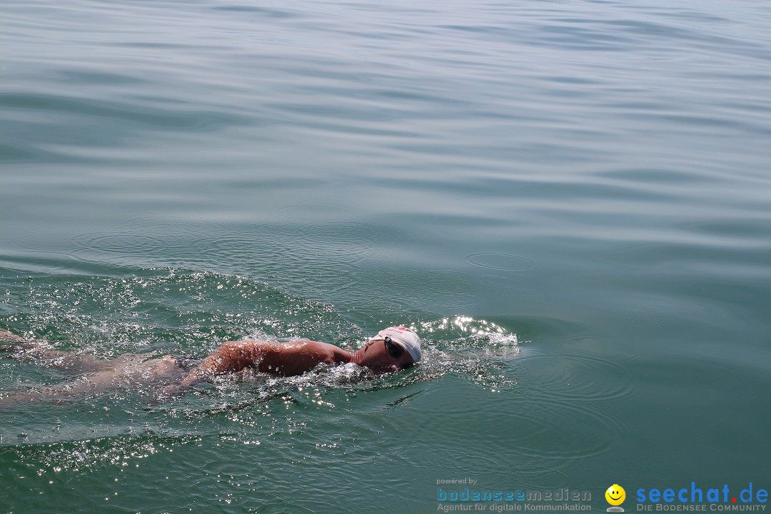 Bodenseequerung- seechat: Dr Stefan Jung: Friedrichshafen, 19.07.2014