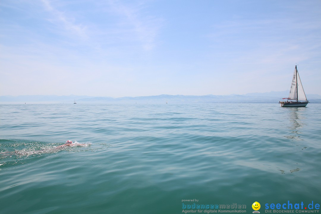 Bodenseequerung- seechat: Dr Stefan Jung: Friedrichshafen, 19.07.2014