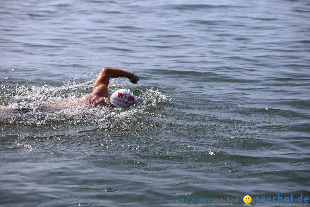 Bodenseequerung- seechat: Dr Stefan Jung: Friedrichshafen, 19.07.2014