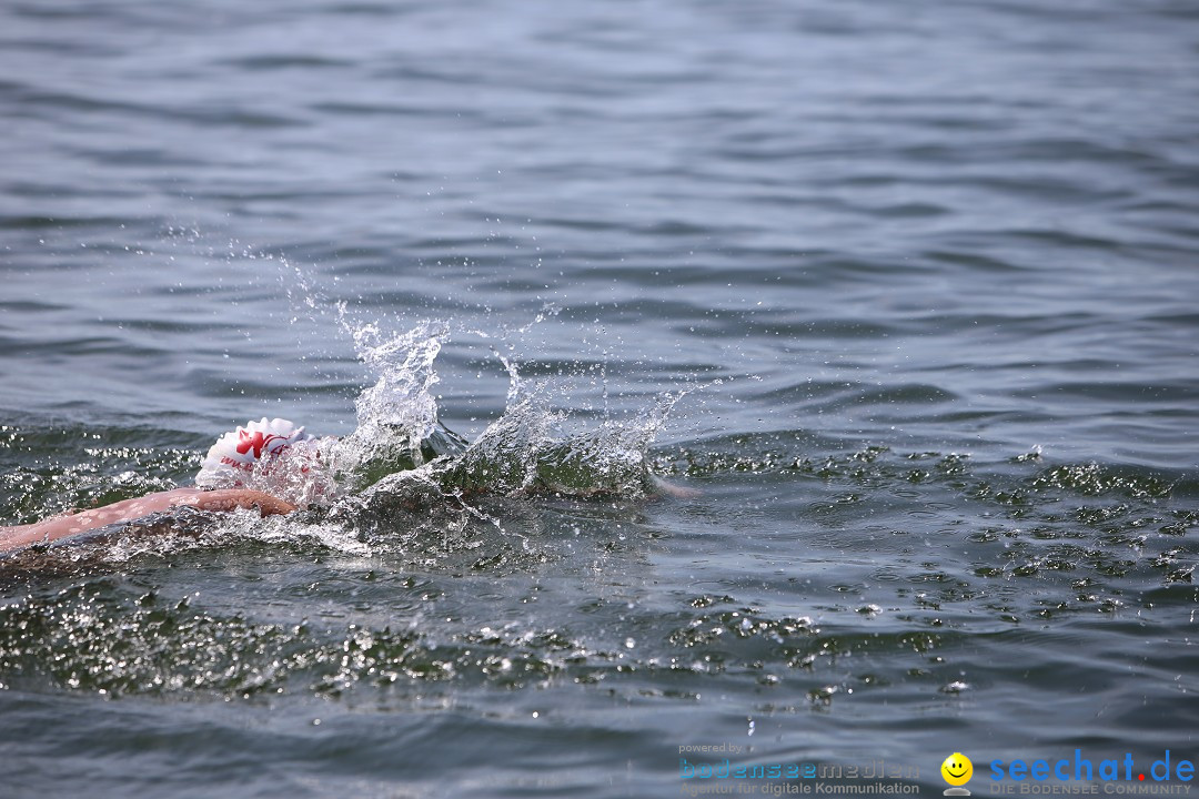 Bodenseequerung- seechat: Dr Stefan Jung: Friedrichshafen, 19.07.2014