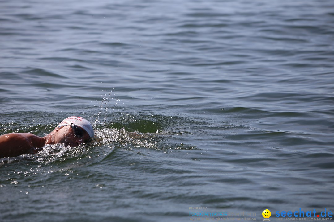 Bodenseequerung- seechat: Dr Stefan Jung: Friedrichshafen, 19.07.2014