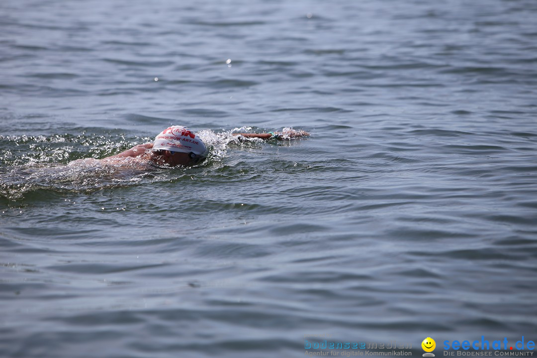 Bodenseequerung- seechat: Dr Stefan Jung: Friedrichshafen, 19.07.2014