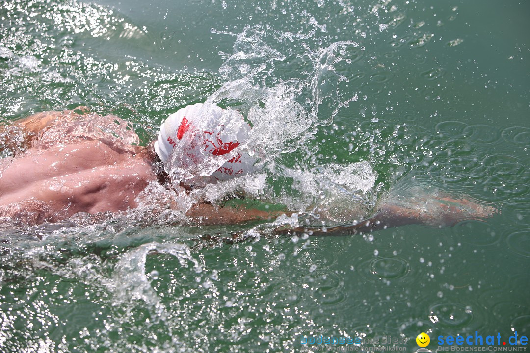 Bodenseequerung- seechat: Dr Stefan Jung: Friedrichshafen, 19.07.2014