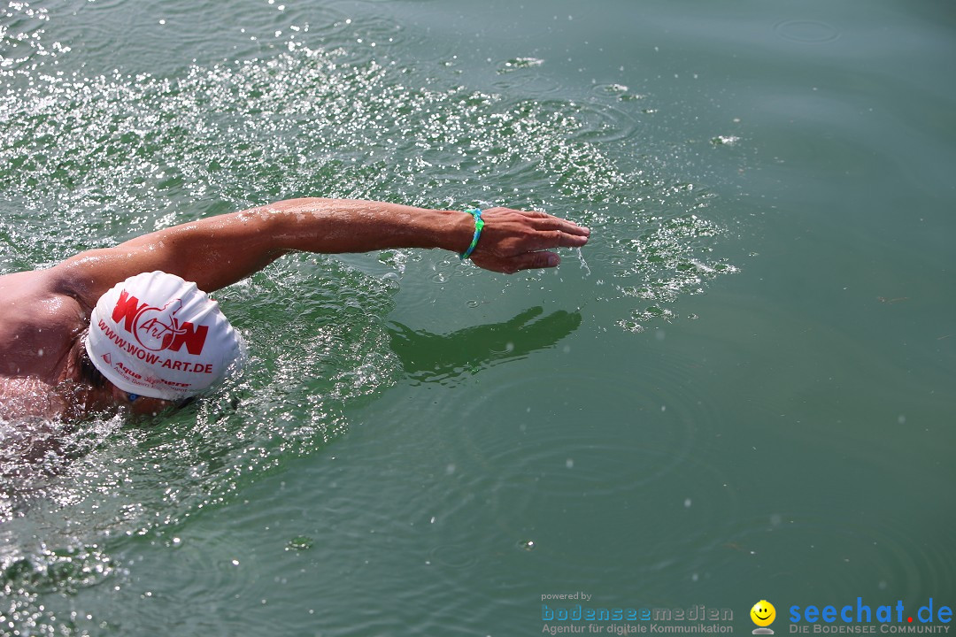 Bodenseequerung- seechat: Dr Stefan Jung: Friedrichshafen, 19.07.2014