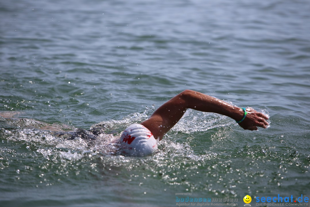 Bodenseequerung- seechat: Dr Stefan Jung: Friedrichshafen, 19.07.2014