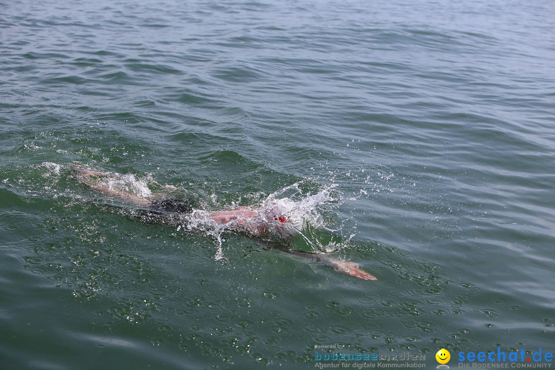 Bodenseequerung- seechat: Dr Stefan Jung: Friedrichshafen, 19.07.2014