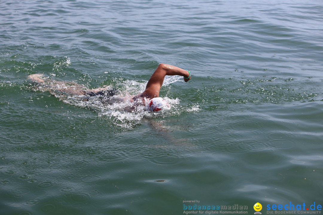 Bodenseequerung- seechat: Dr Stefan Jung: Friedrichshafen, 19.07.2014