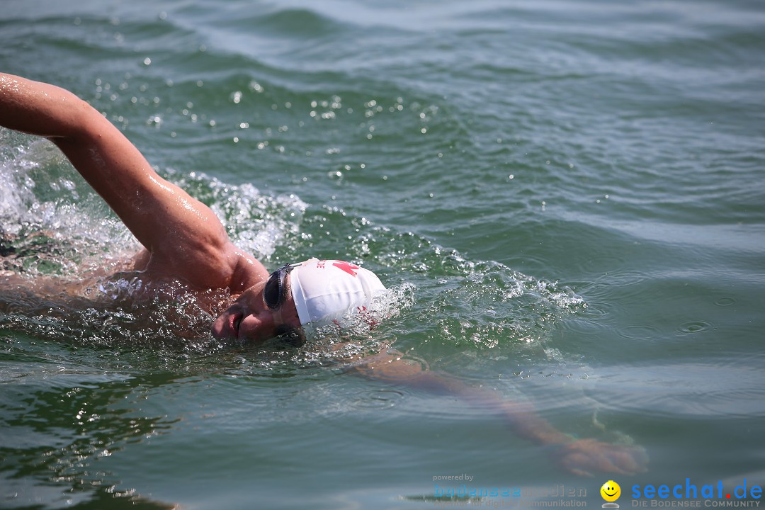 Bodenseequerung- seechat: Dr Stefan Jung: Friedrichshafen, 19.07.2014