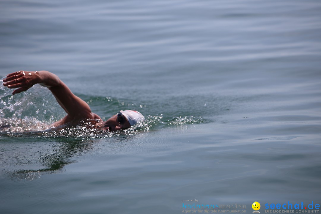 Bodenseequerung- seechat: Dr Stefan Jung: Friedrichshafen, 19.07.2014