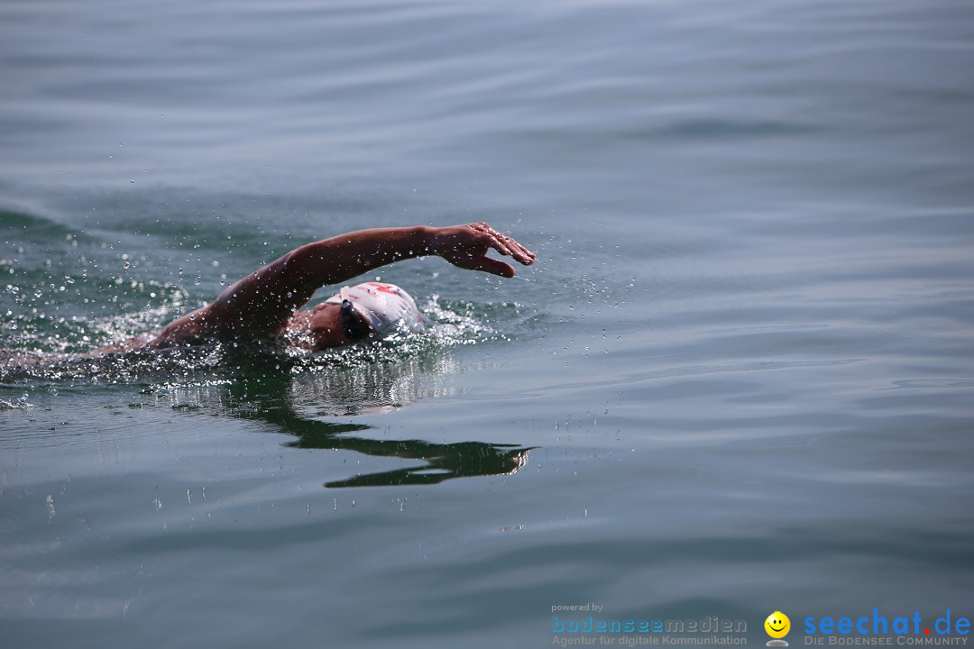 Bodenseequerung- seechat: Dr Stefan Jung: Friedrichshafen, 19.07.2014